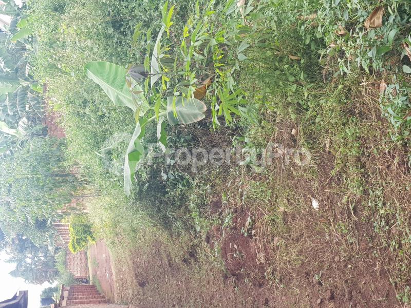 Land for sale Bombo Road  Nabweru Wakiso Central - 3