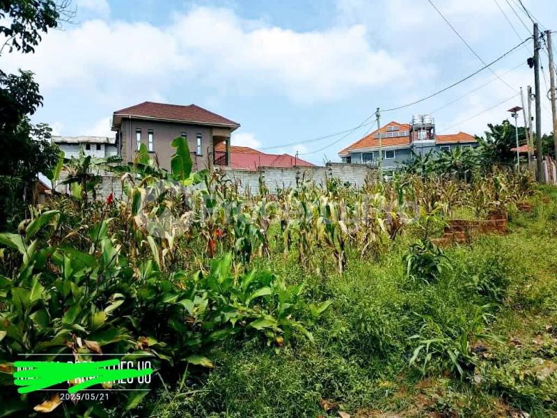 Land for sale Namugongo  Kira Wakiso Central - 2