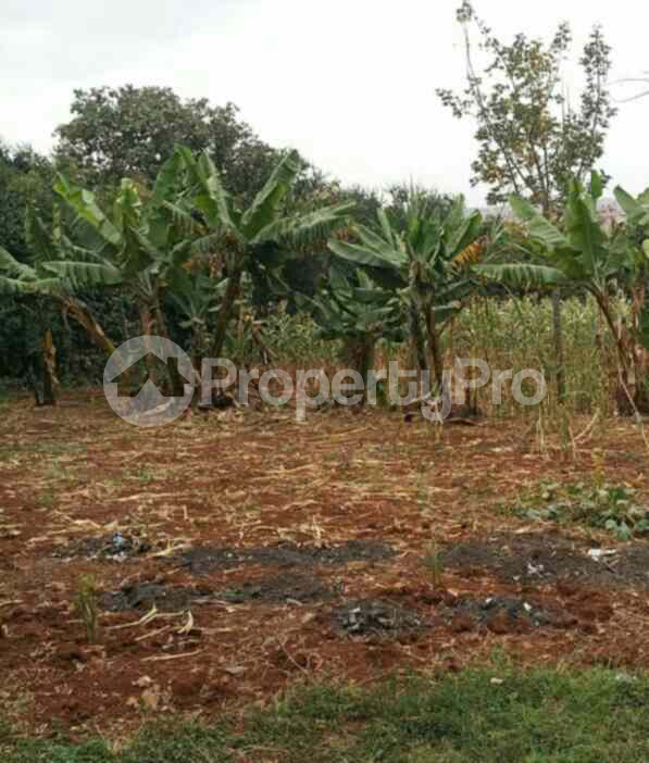 Land for sale Kasarani Nairobi