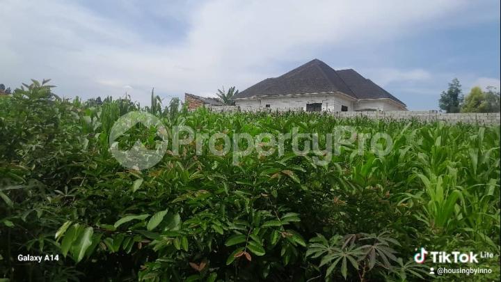 Land for sale Canaan Estates mpoma Mukono Mukono Central - 5