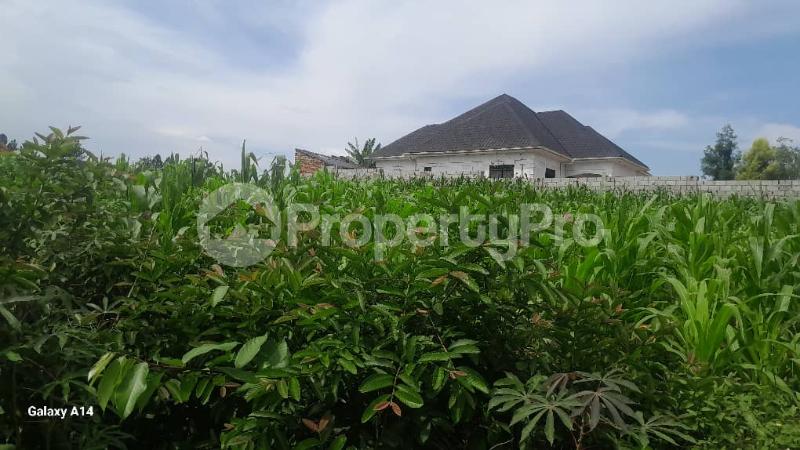 Land for sale Canaan Estates mpoma Mukono Mukono Central - 7