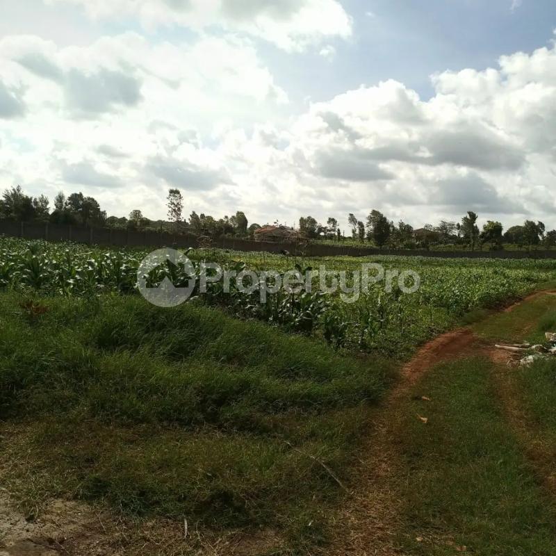 Land for sale Runda Nairobi