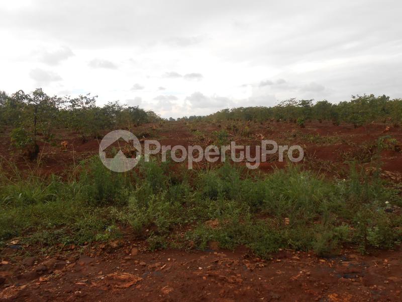 Residential Land for sale Runda Nairobi (PID 8ADMR) PropertyPro