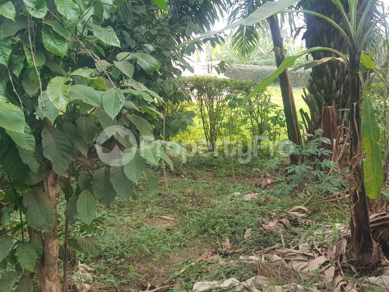 Land for sale Bombo road  Nabweru Wakiso Central - 2