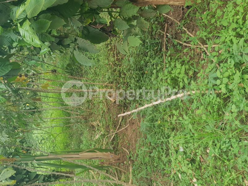 Land for sale Bombo road  Nabweru Wakiso Central - 3