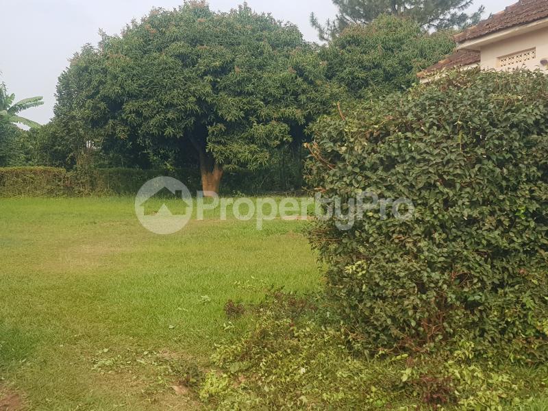 Land for sale Bombo road  Nabweru Wakiso Central - 1