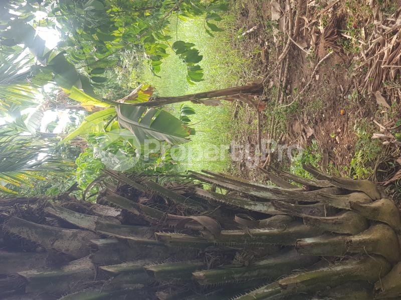 Land for sale Bombo road  Nabweru Wakiso Central - 0