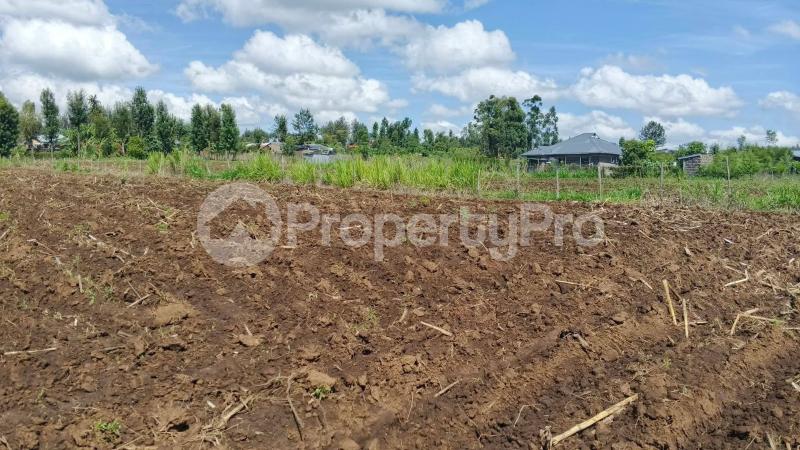 Land for sale Njoro Nakuru