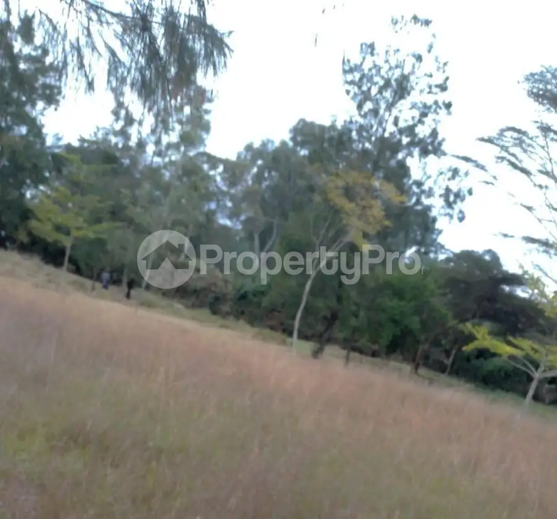Land for sale Karen Nairobi