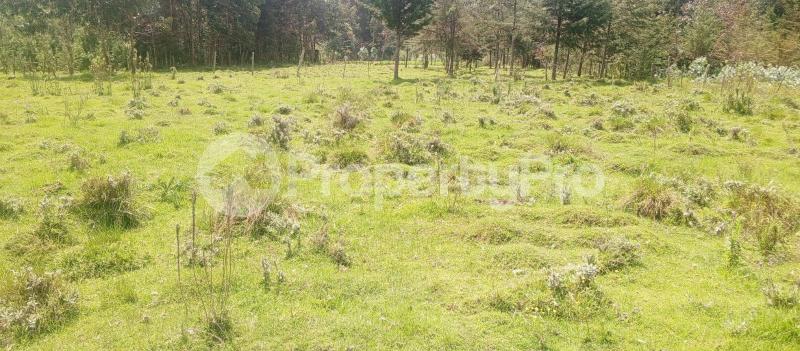 Land for sale Karen Nairobi