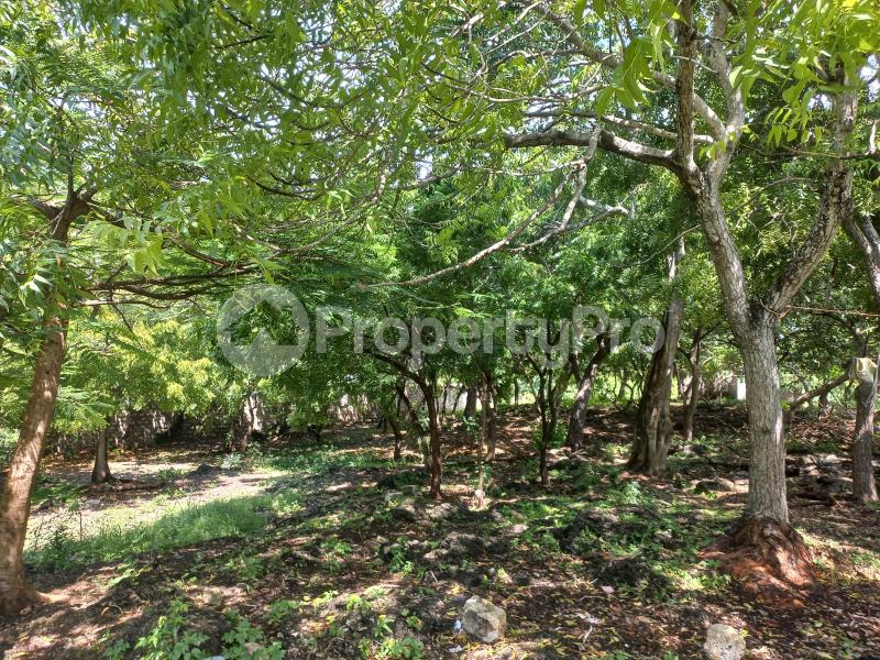 Land for sale Kilifi North Kilifi