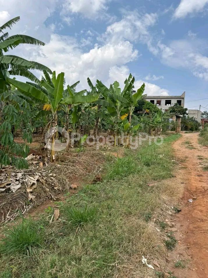 Land for sale Kira road  Kampala Central Kampala Central - 2