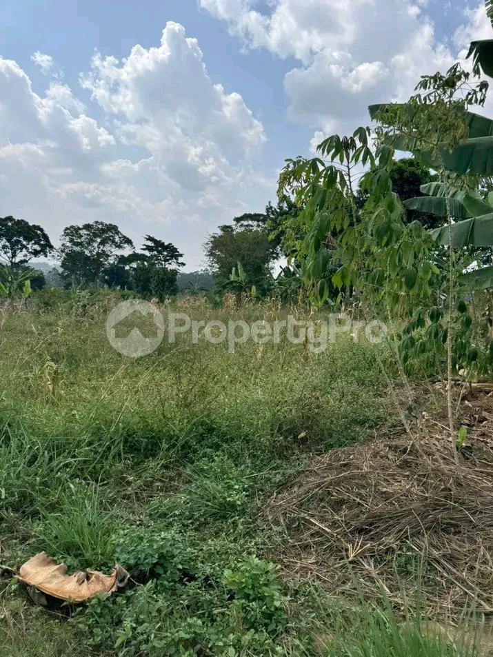 Land for sale Kira road  Kampala Central Kampala Central - 3