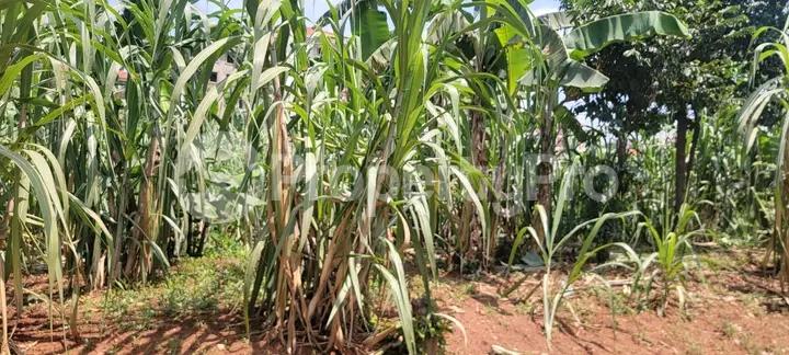 Land for sale Kiwatule  Kampala Central - 2