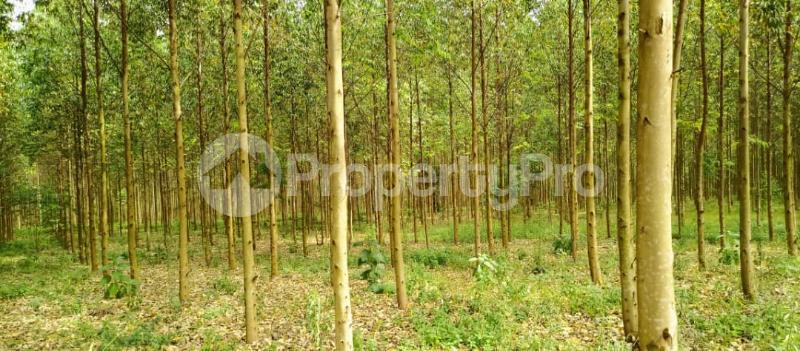 Land for sale Kibukuta road rcc Mityana Central - 3