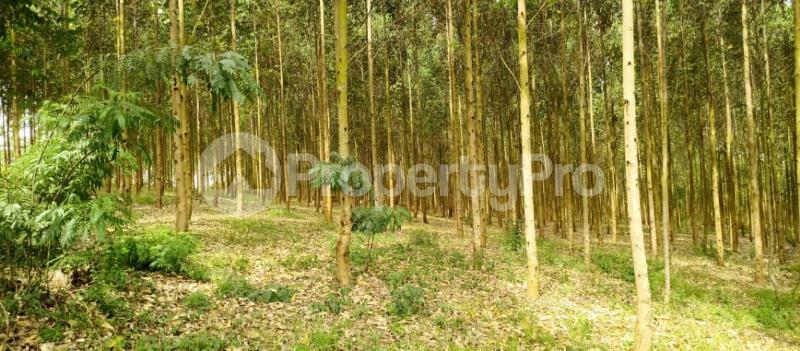 Land for sale Kibukuta road rcc Mityana Central - 2