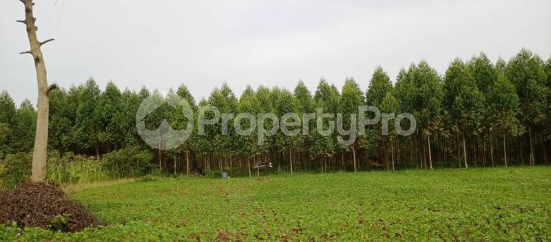 Land for sale Kibukuta road rcc Mityana Central - 0