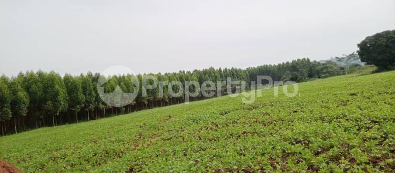 Land for sale Kibukuta road rcc Mityana Central - 1