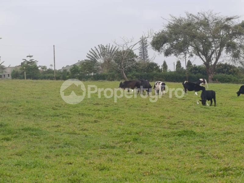 Land for sale Kira shimon road  Kira Wakiso Central - 5