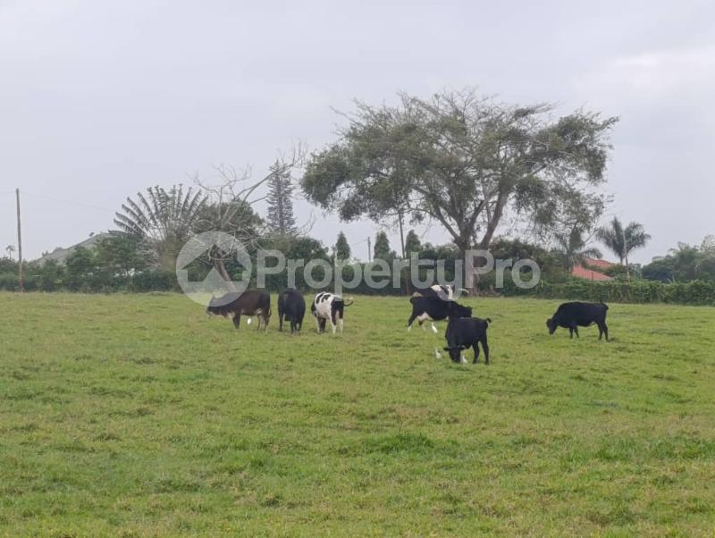Land for sale Kira shimon road  Kira Wakiso Central - 1