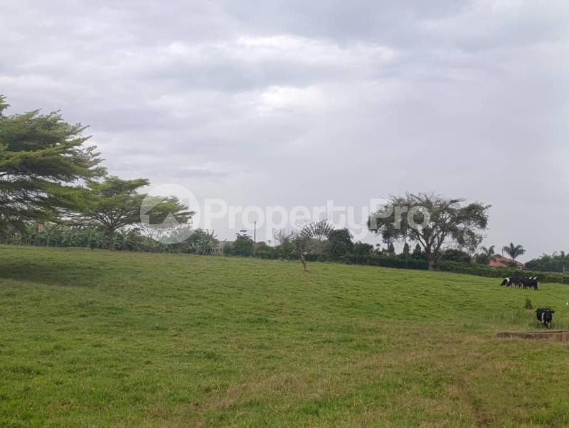 Land for sale Kira shimon road  Kira Wakiso Central - 6