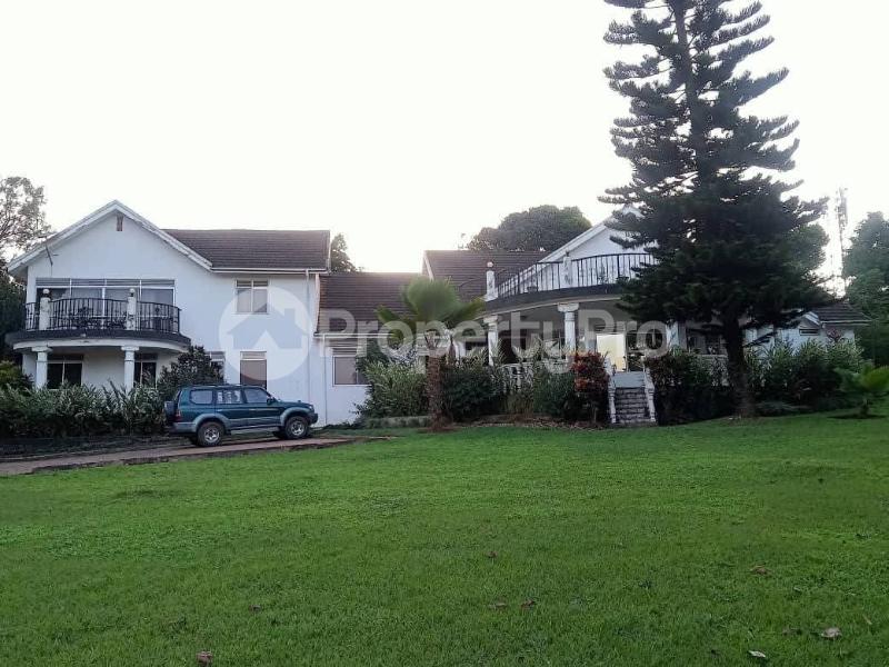 5 bedroom Villa for rent Makindye Kampala Central - 13