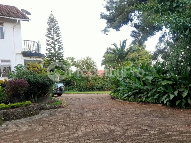 5 bedroom Villa for rent Makindye Kampala Central - 3