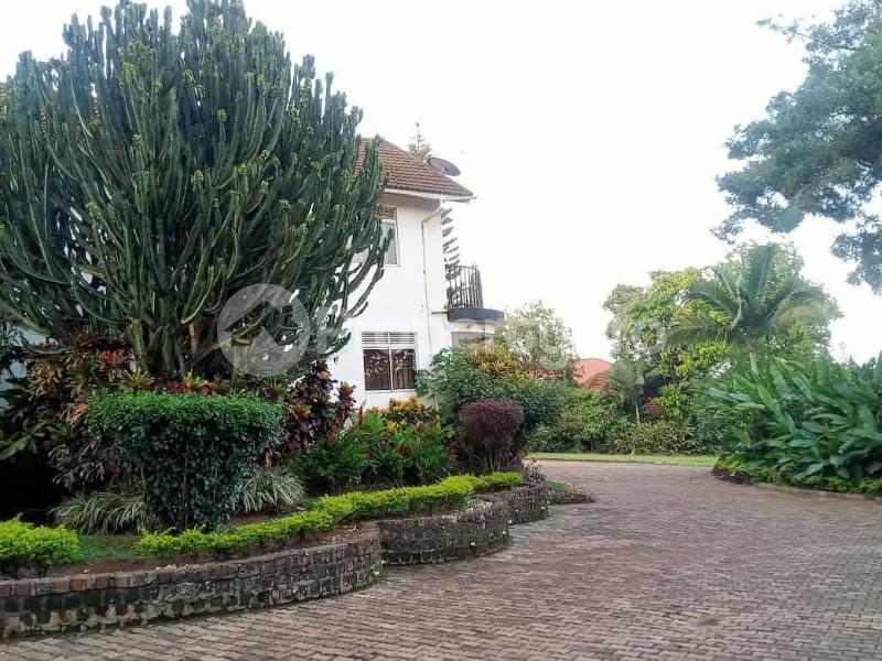 5 bedroom Villa for rent Makindye Kampala Central - 6