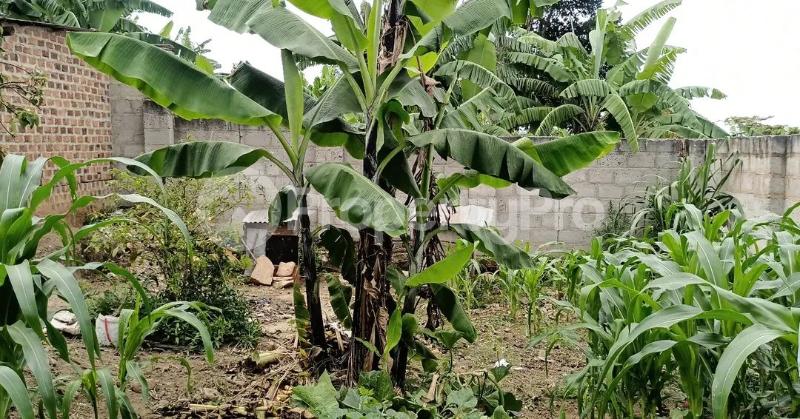 3 bedroom Villa for sale Bulamu mityana road  Nsangi Wakiso Central - 9