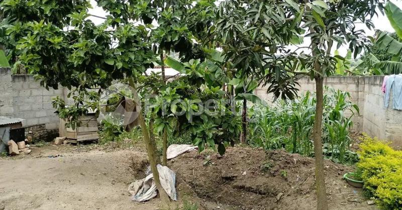 3 bedroom Villa for sale Bulamu mityana road  Nsangi Wakiso Central - 12