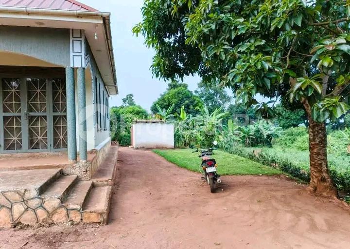 3 bedroom Bungalow Apartment for sale Gayaza busika  Kampala Central Kampala Central - 0