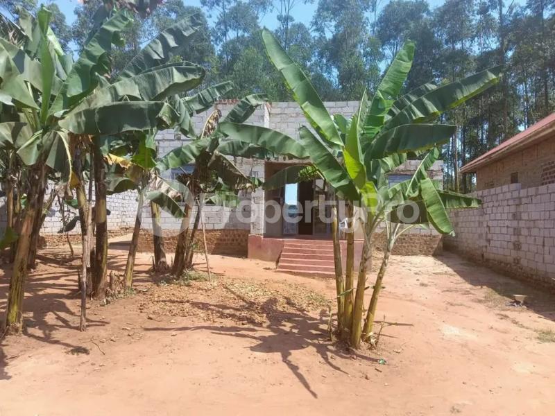 3 bedroom Villa for sale Kira kijjabijo  Kira Wakiso Central - 4