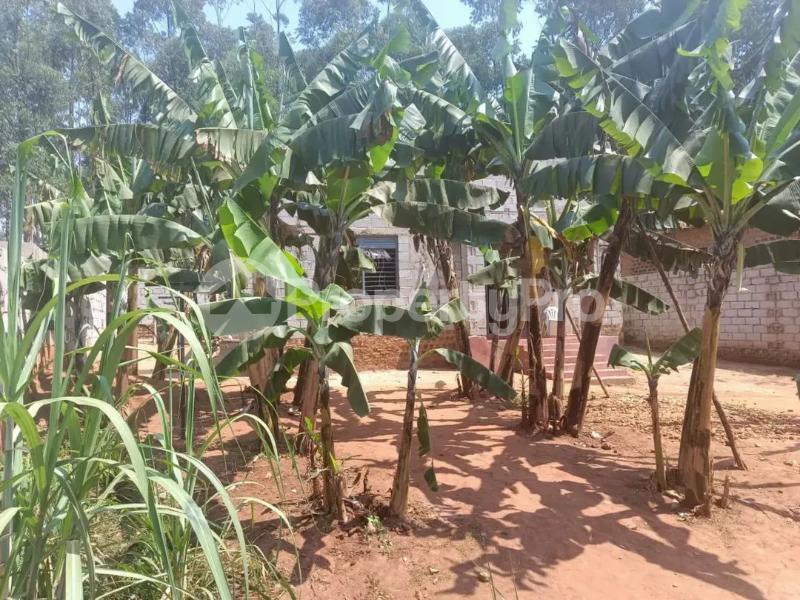 3 bedroom Villa for sale Kira kijjabijo  Kira Wakiso Central - 3