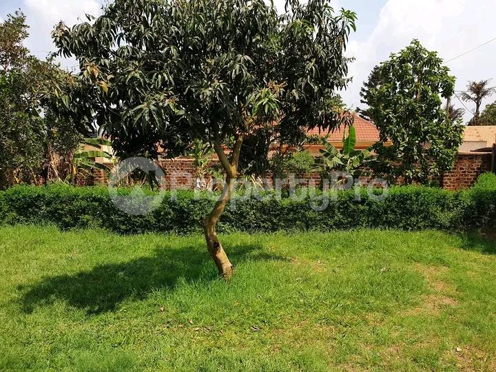 3 bedroom Bungalow Apartment for sale Namugongo  Kampala Central Kampala Central - 4