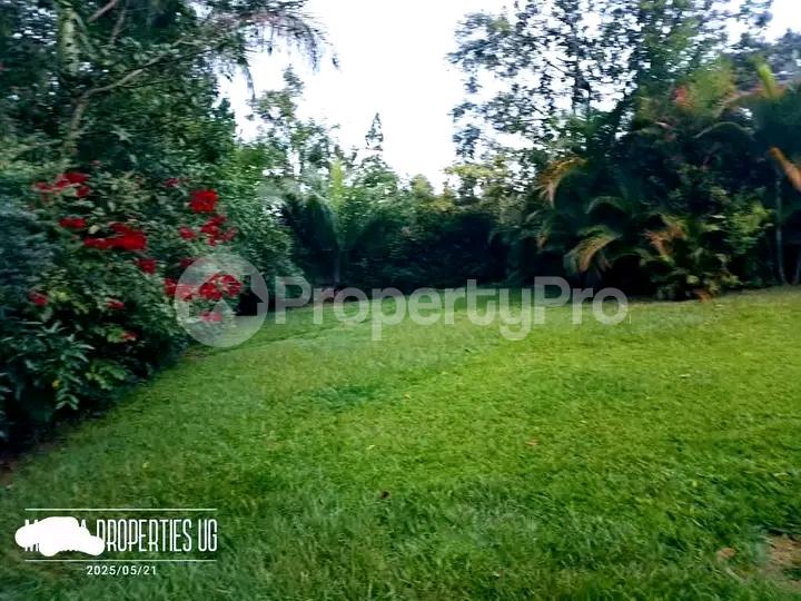 4 bedroom Bungalow Apartment for sale Wakiso nkoowe Wakiso Central - 0