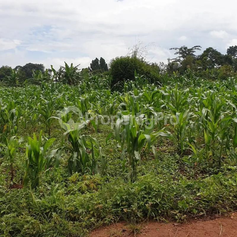 Land for sale Busunjju mityana road  Nabweru Wakiso Central - 3