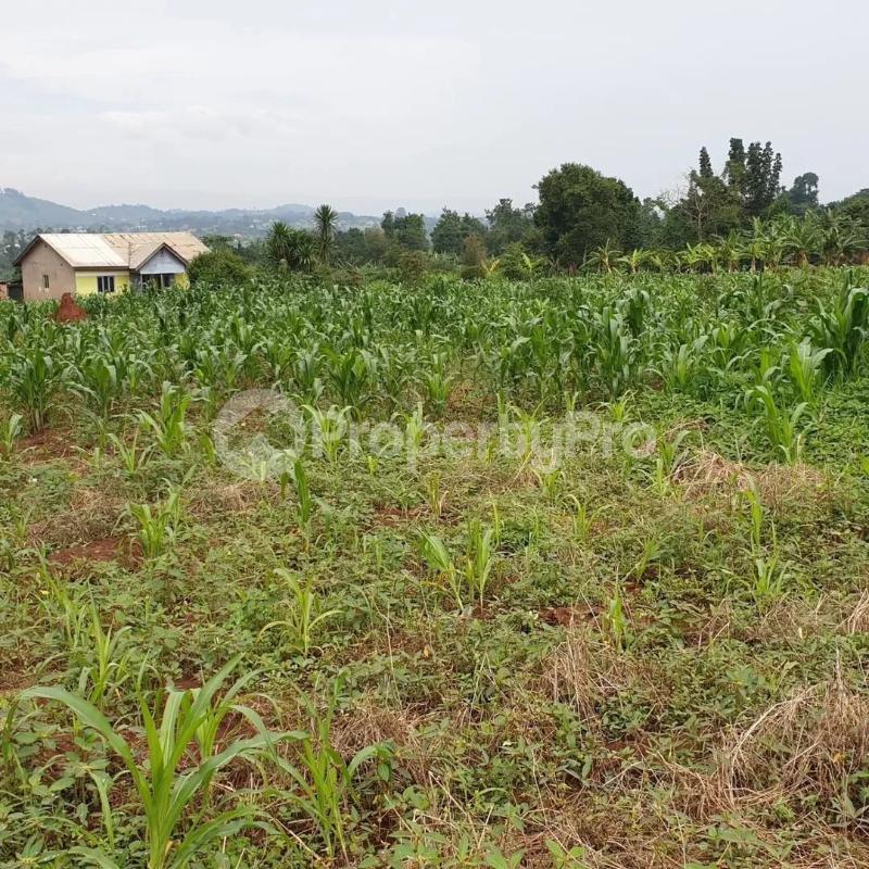Land for sale Busunjju mityana road  Nabweru Wakiso Central - 0