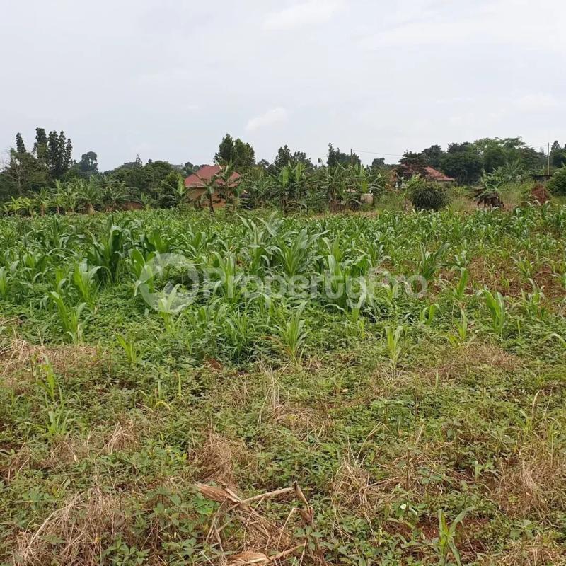 Land for sale Busunjju mityana road  Nabweru Wakiso Central - 2