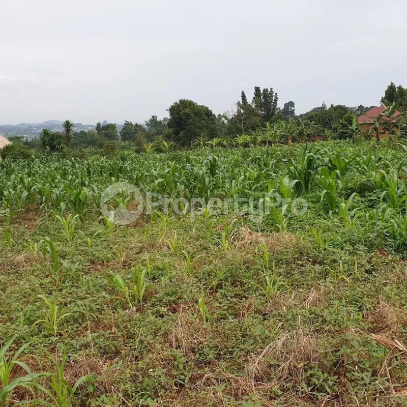 Land for sale Busunjju mityana road  Nabweru Wakiso Central - 1