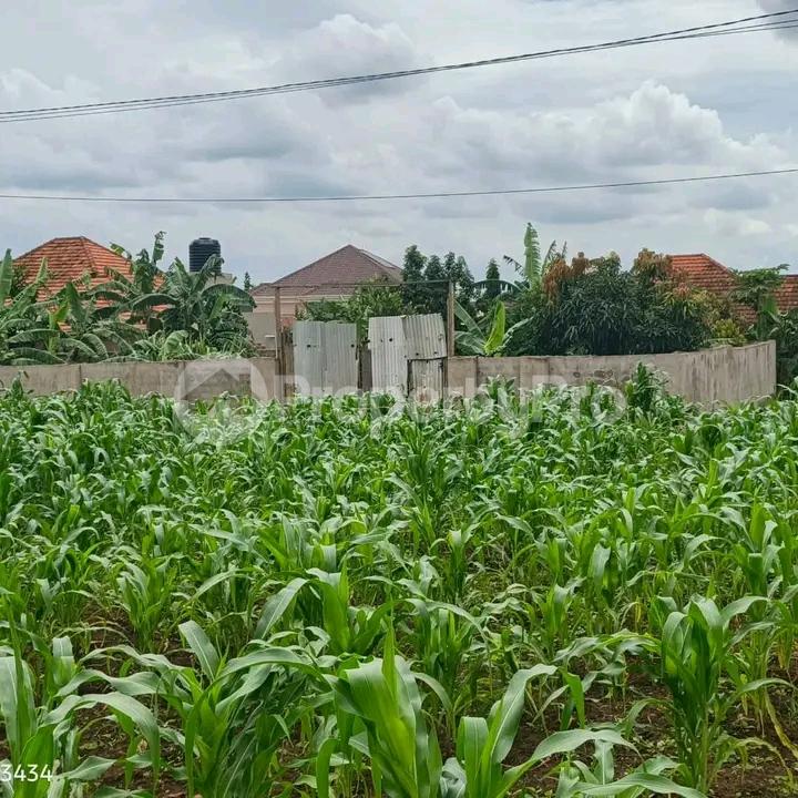 Land for sale Kira road  Kampala Central Kampala Central - 5