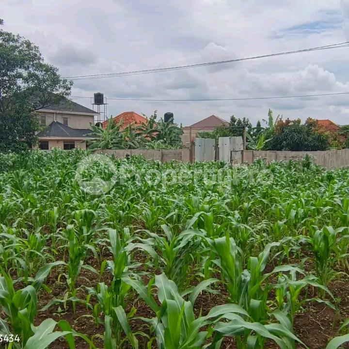 Land for sale Kira road  Kampala Central Kampala Central - 2