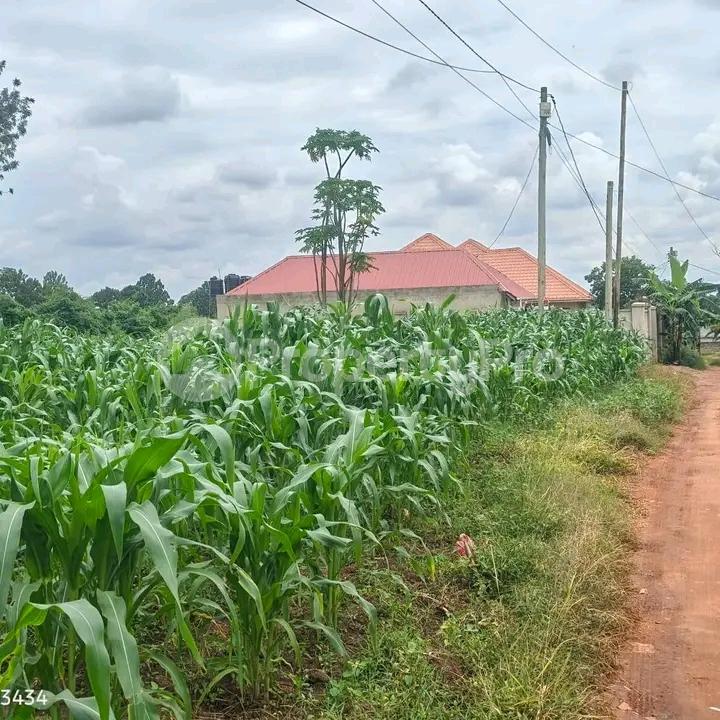 Land for sale Kira road  Kampala Central Kampala Central - 3