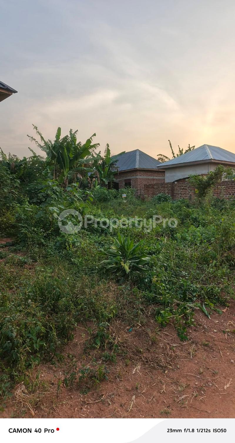 1 bedroom mini flat  Bungalow Apartment for rent Kisaasi road Kampala Central Kampala Central - 0