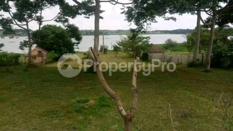 4 bedroom Villa for sale Nkumba  Kampala Central Kampala Central - 6