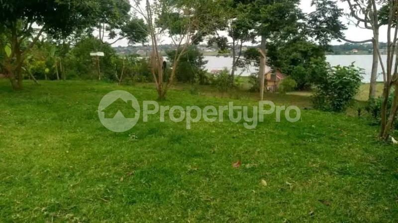 4 bedroom Villa for sale Nkumba  Kampala Central Kampala Central - 5