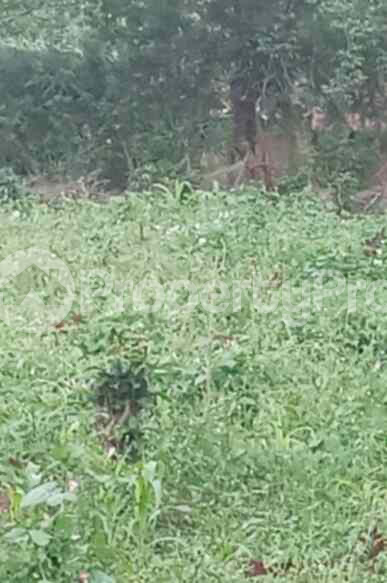 Land for sale Ridgeways Nairobi