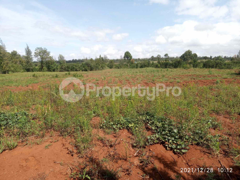 Land for sale Nanyuki Nanyuki