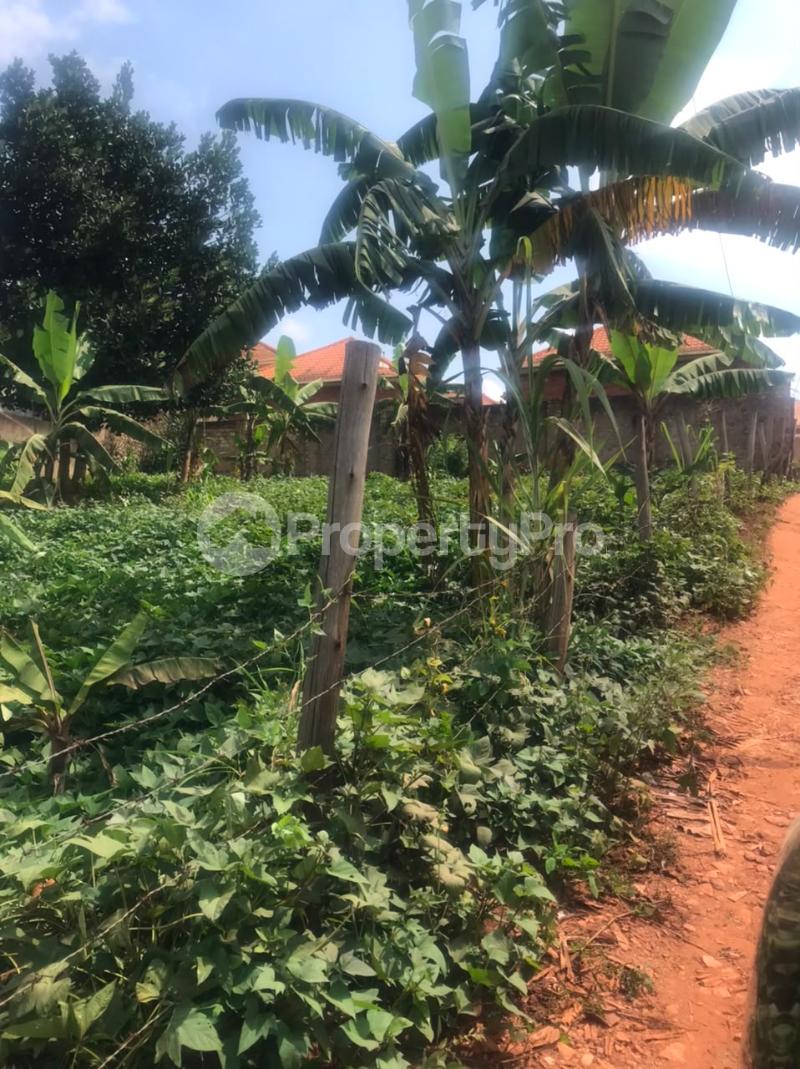 Land for sale Nebalamye mayanja road- Seguku katale  Ssabagado-Makindye Wakiso Central - 2