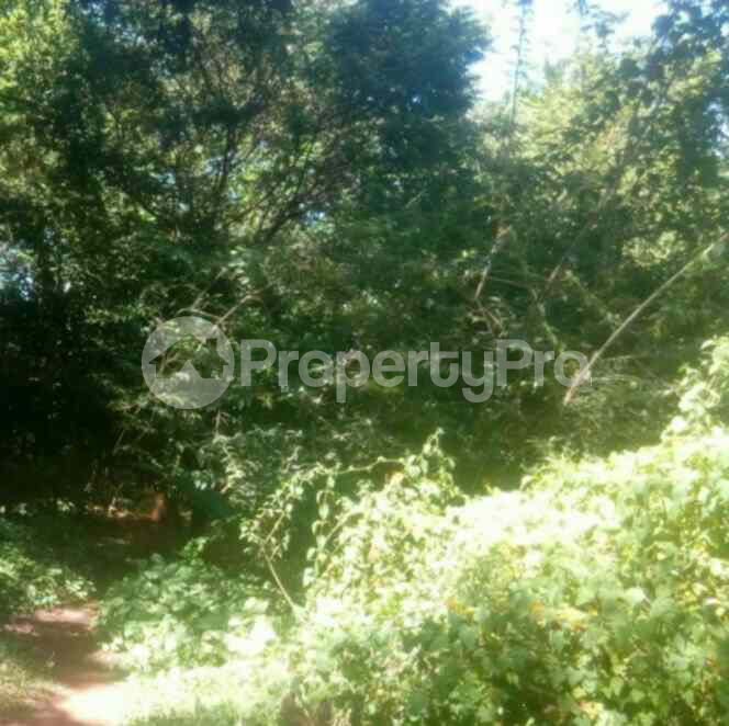 Land for sale Muthaiga Nairobi