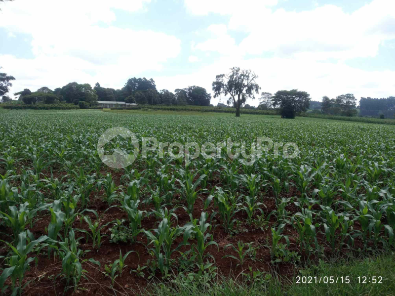 Land for sale Kiambu Kiambu